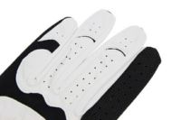 ハーツェル 日本正規品 左手用ゴルフグローブ メンズ ゴルフ