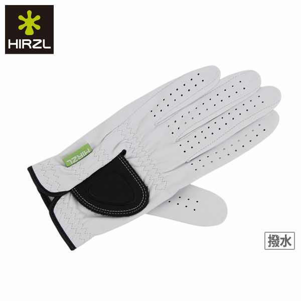 ハーツェルのグローブ