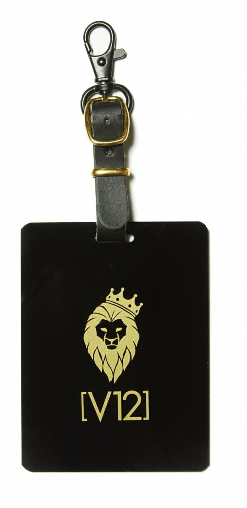 着せ替えキャディバッグ メンズ レディース V12 ゴルフ ヴィ