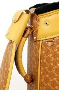 レザレクションのキャディバッグ