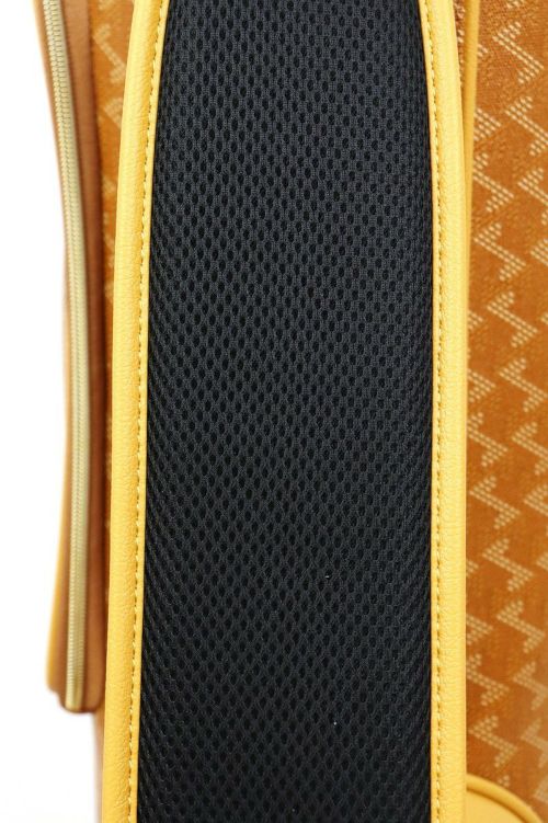 レザレクションのキャディバッグ
