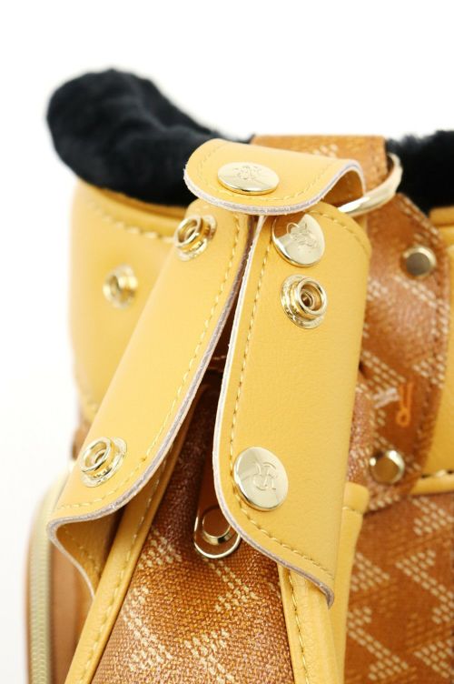レザレクションのキャディバッグ