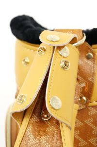 レザレクションのキャディバッグ