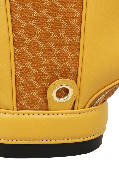 レザレクションのキャディバッグ