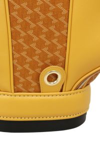 レザレクションのキャディバッグ