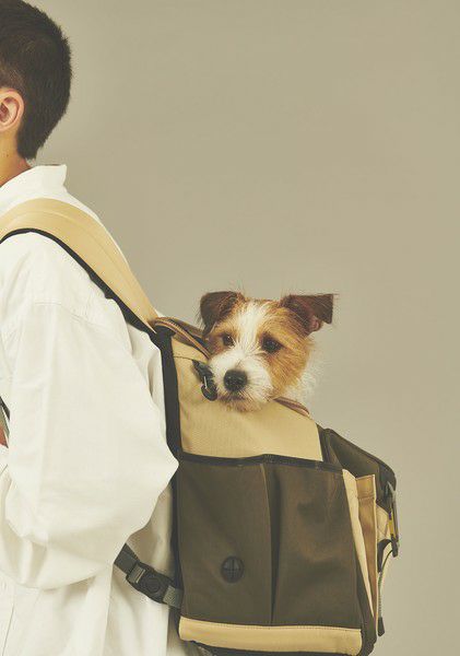 マスターピースのペットキャリーバッグ