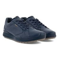 eccoゴルフレディースシューズ美品 30％OFFセール】ゴルフシューズ レディース エコーゴルフ ECCO