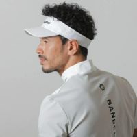 バンデルのサンバイザー