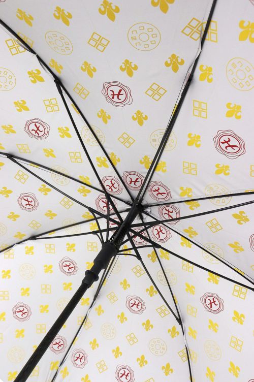 ドゥーカスの傘