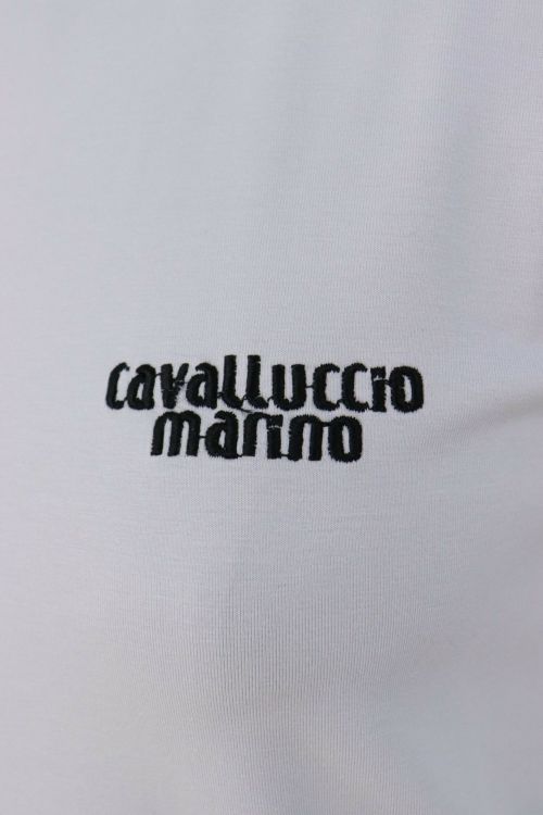 カヴァルッチョマリーノのハイネックシャツ