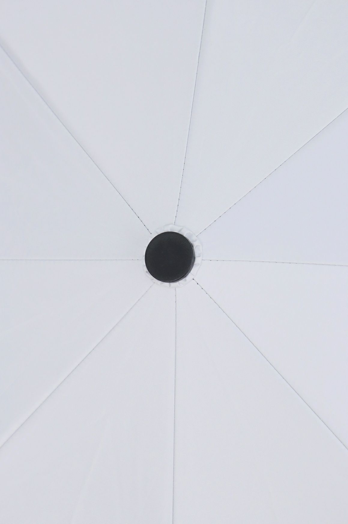 サイコバニー日本正規品の傘