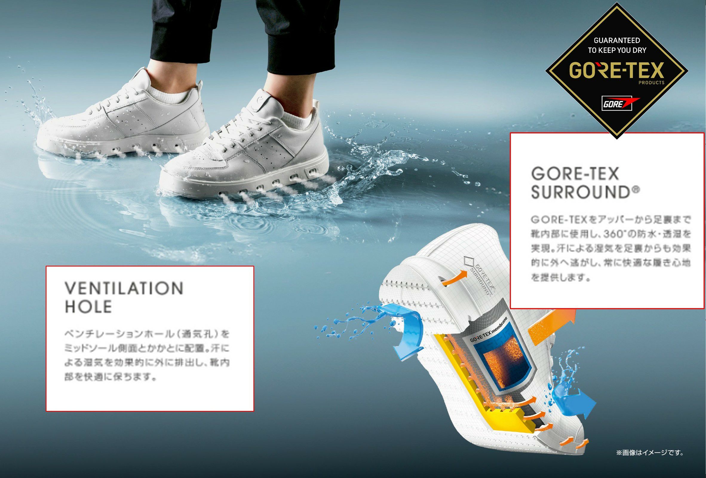 エコーゴルフ日本正規品のシューズ