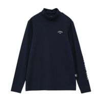 AULANI Disney限定 NIKE ゴルフ ウェア Lサイズ ディズニー AULANI Disney限定 NIKE ゴルフ ウェア Lサイズ ディズニー