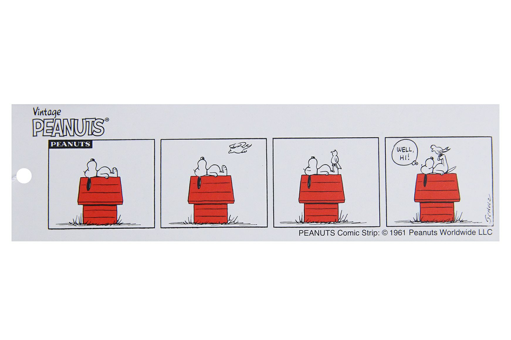 カステルバジャックのカジュアルシャツ