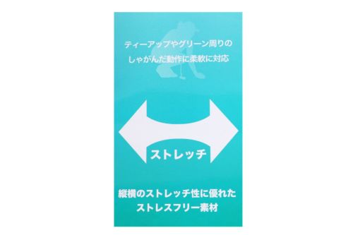 マリクレールのスカート