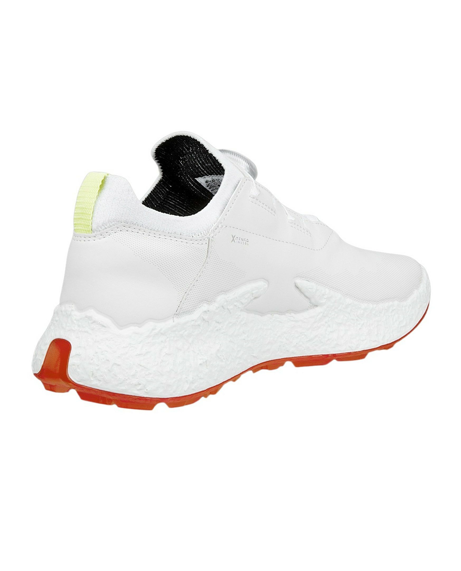 エコーゴルフ日本正規品のシューズ