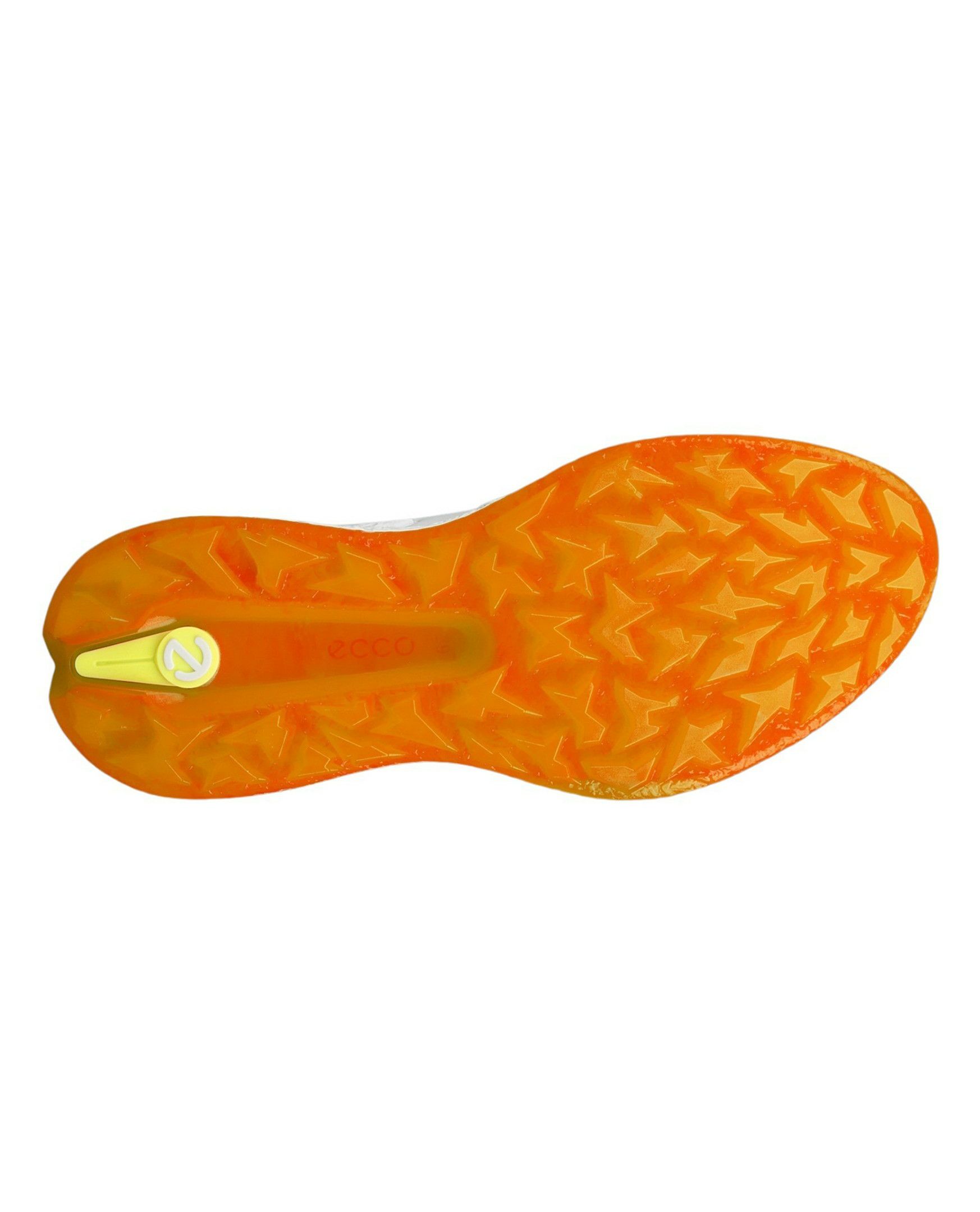 エコーゴルフ日本正規品のシューズ