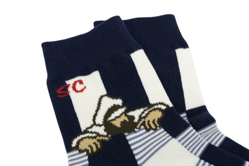 シナコバのソックス