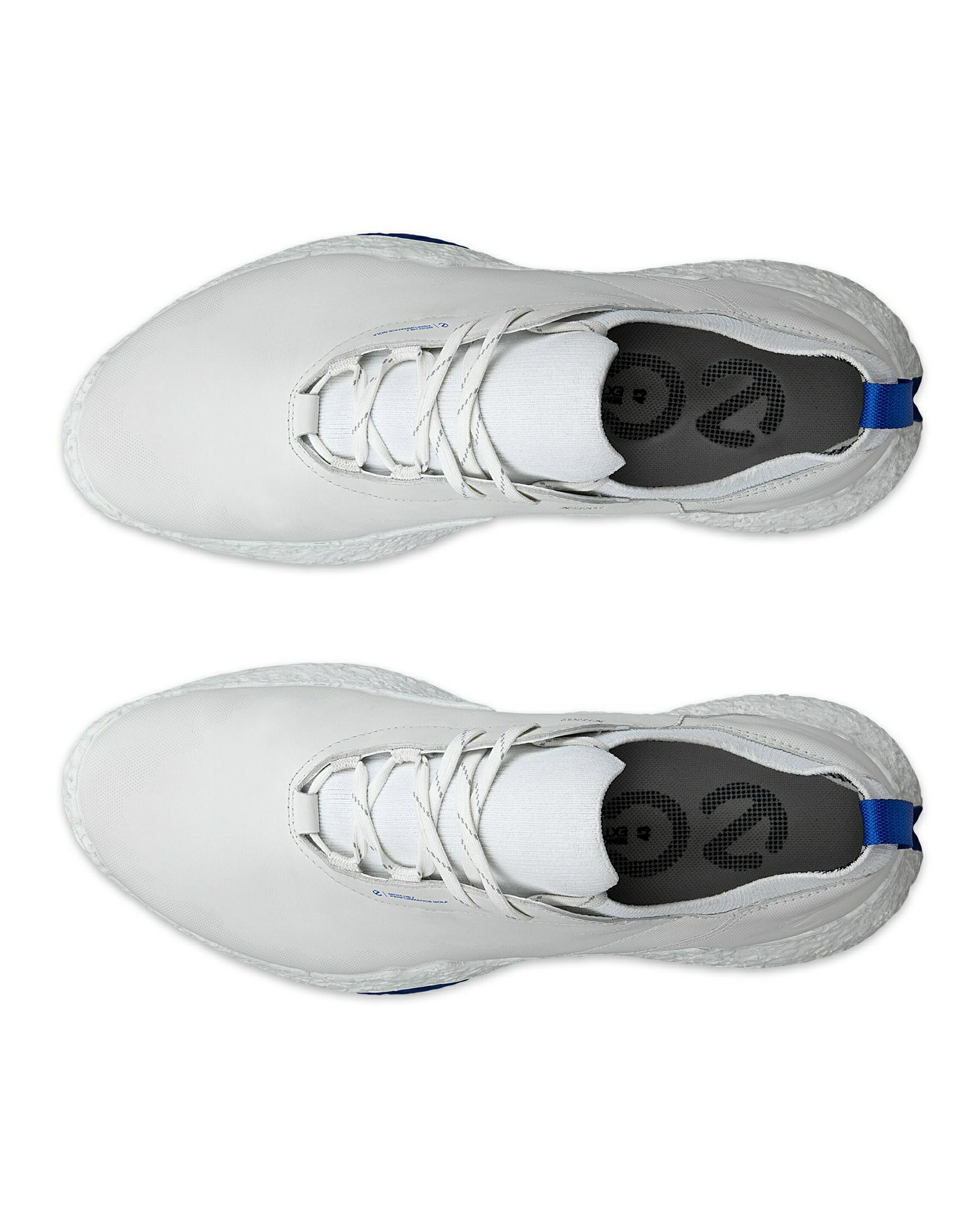 エコーゴルフのゴルフシューズ