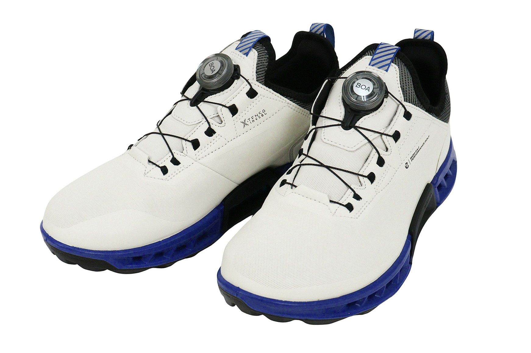 エコーゴルフ日本正規品のシューズ