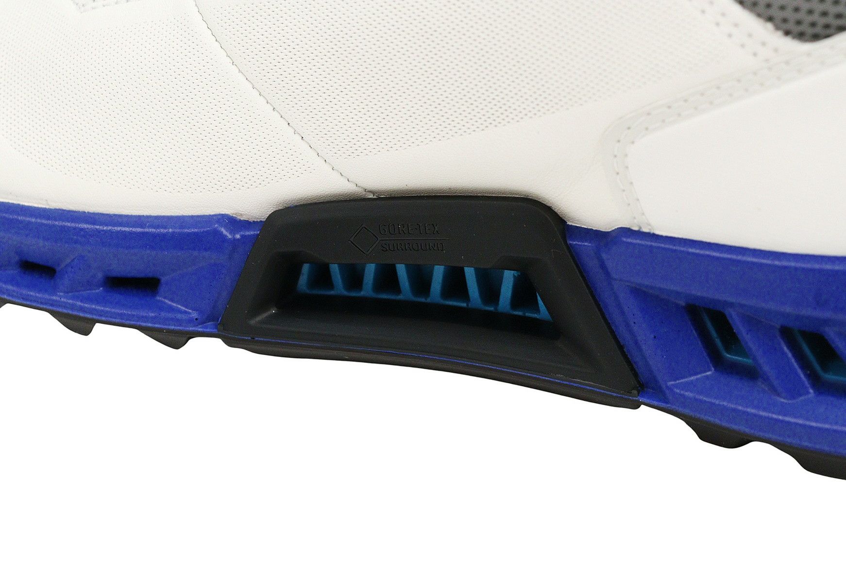 エコーゴルフ日本正規品のシューズ