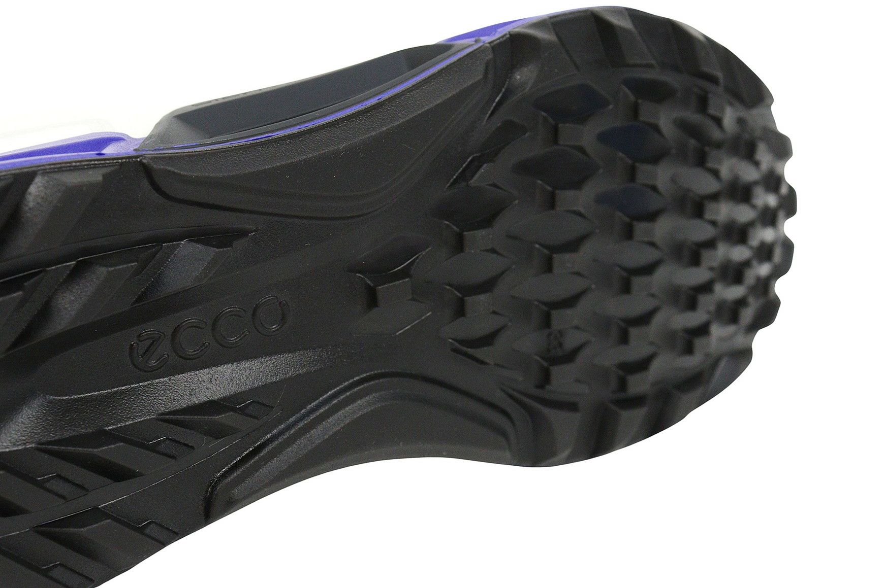 エコーゴルフ日本正規品のシューズ