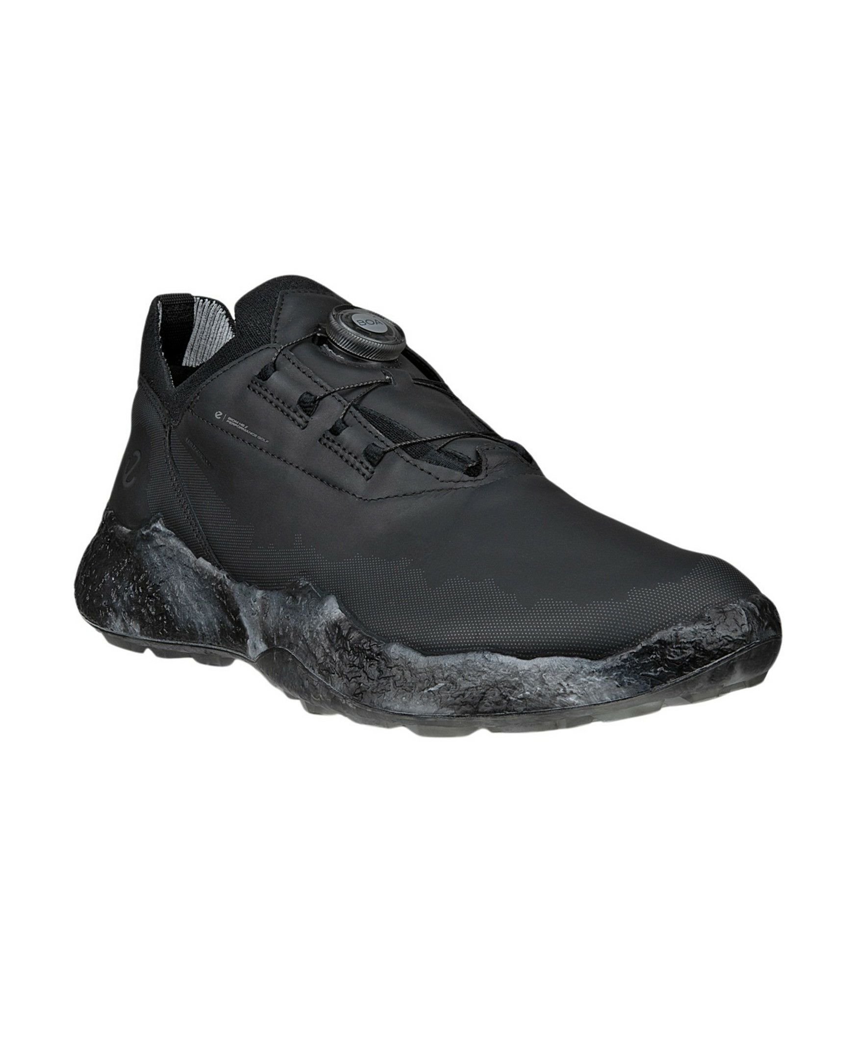 エコーゴルフ日本正規品のシューズ