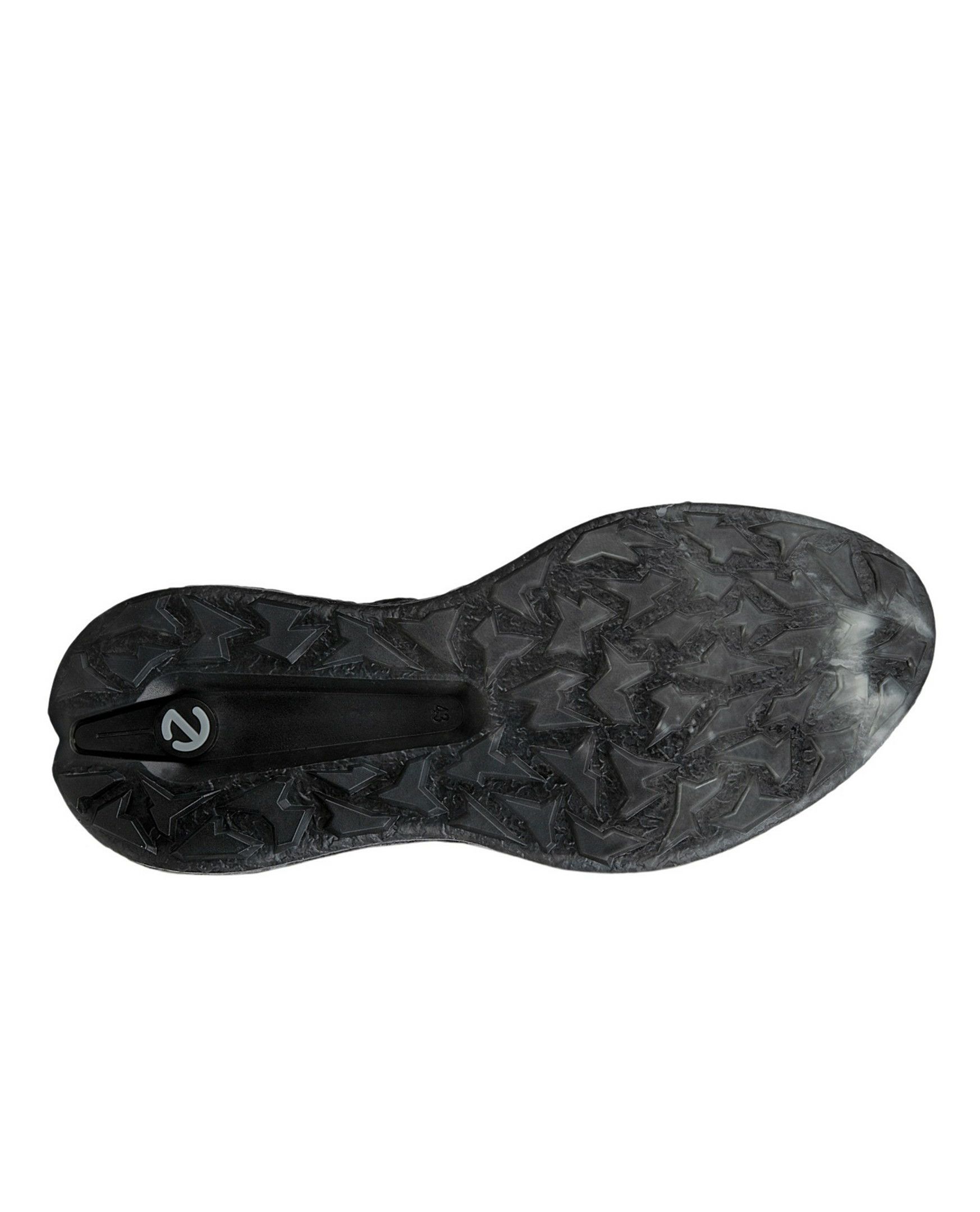 エコーゴルフ日本正規品のシューズ