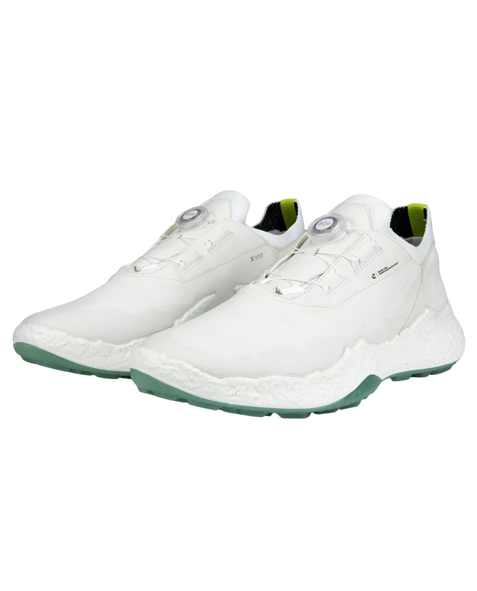 エコーゴルフ日本正規品のシューズ