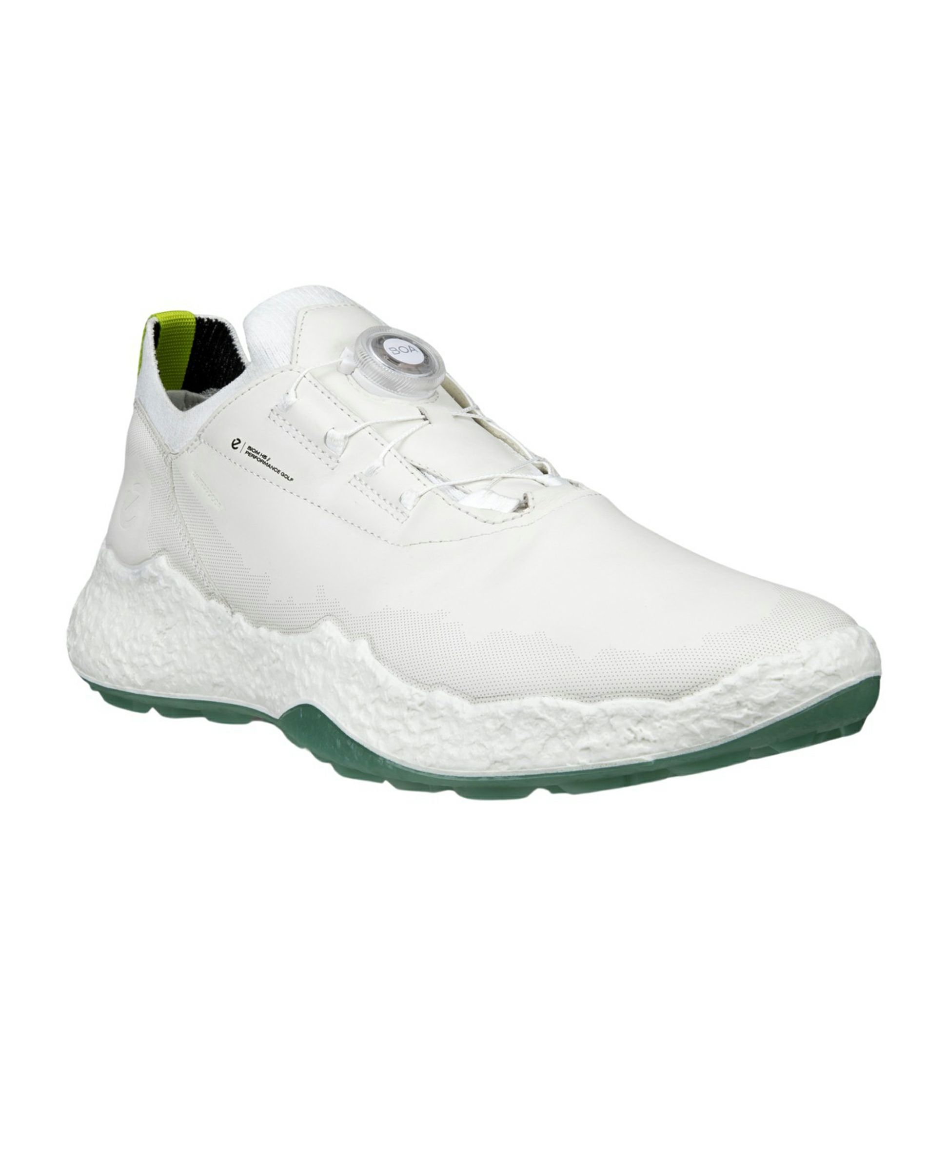 エコーゴルフ日本正規品のシューズ