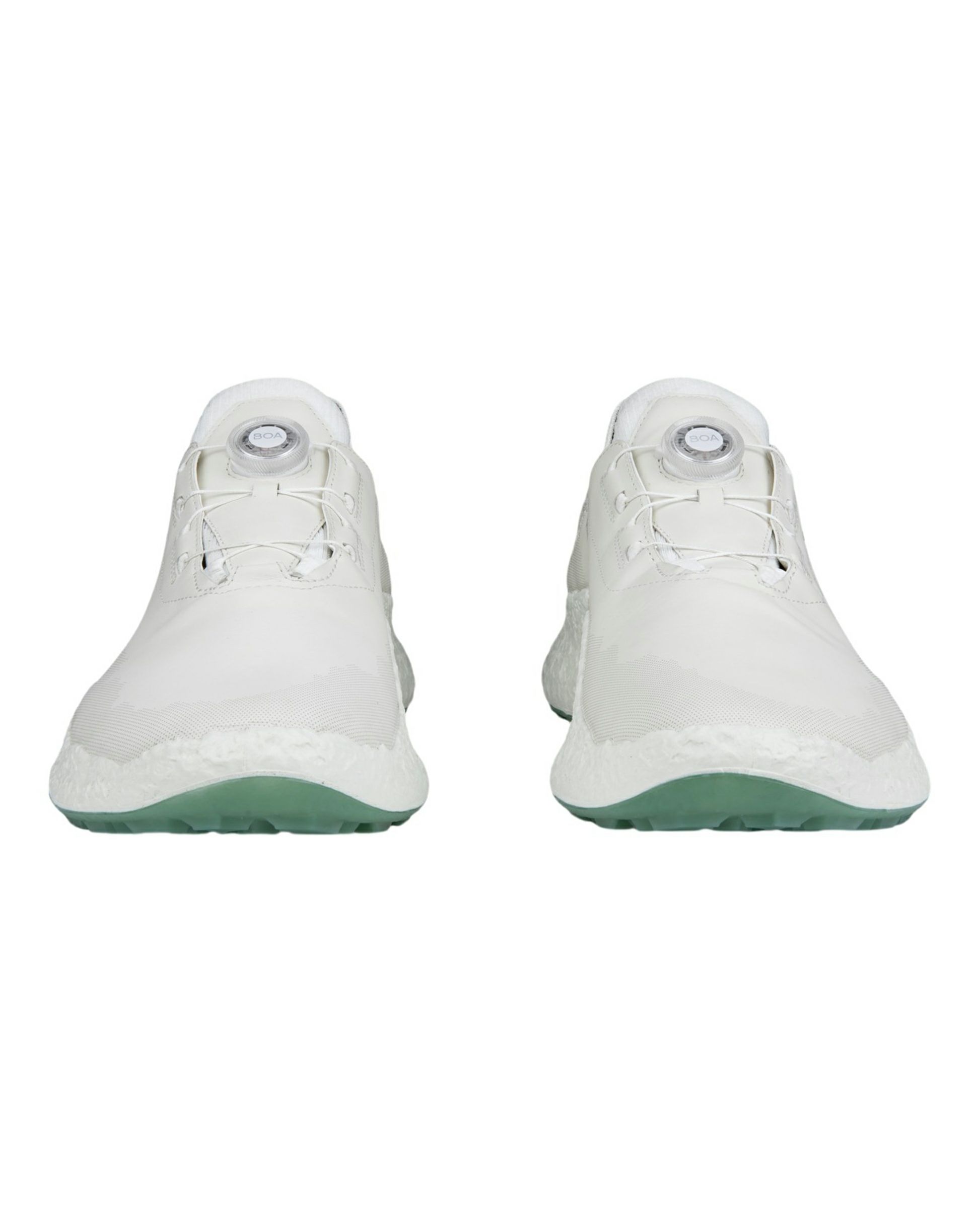 エコーゴルフ日本正規品のシューズ