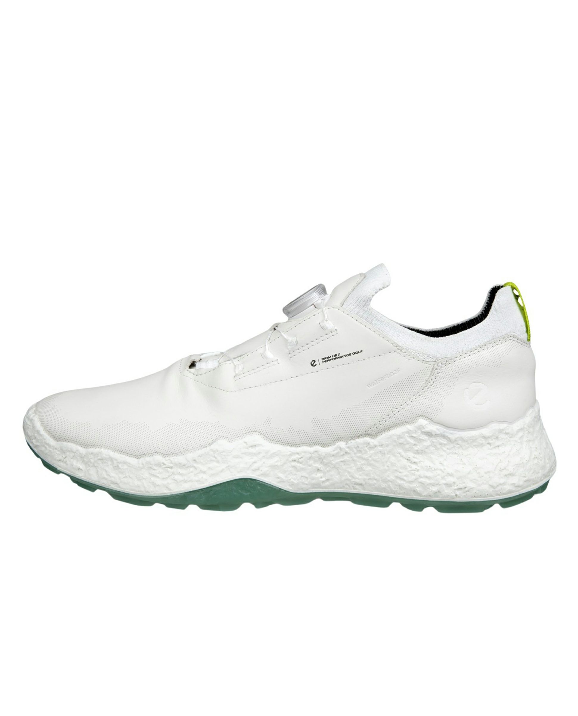 エコーゴルフ日本正規品のシューズ