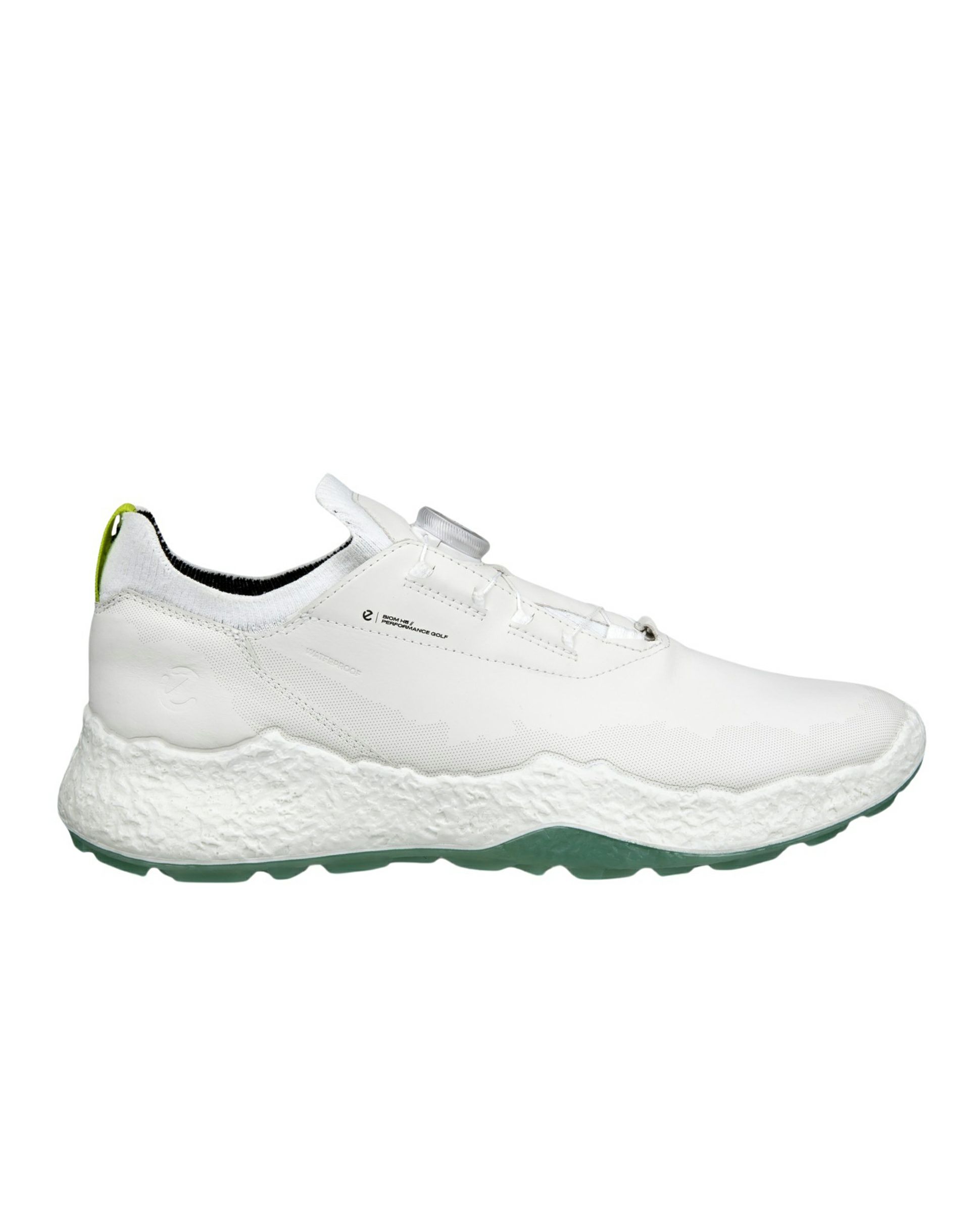 エコーゴルフ日本正規品のシューズ