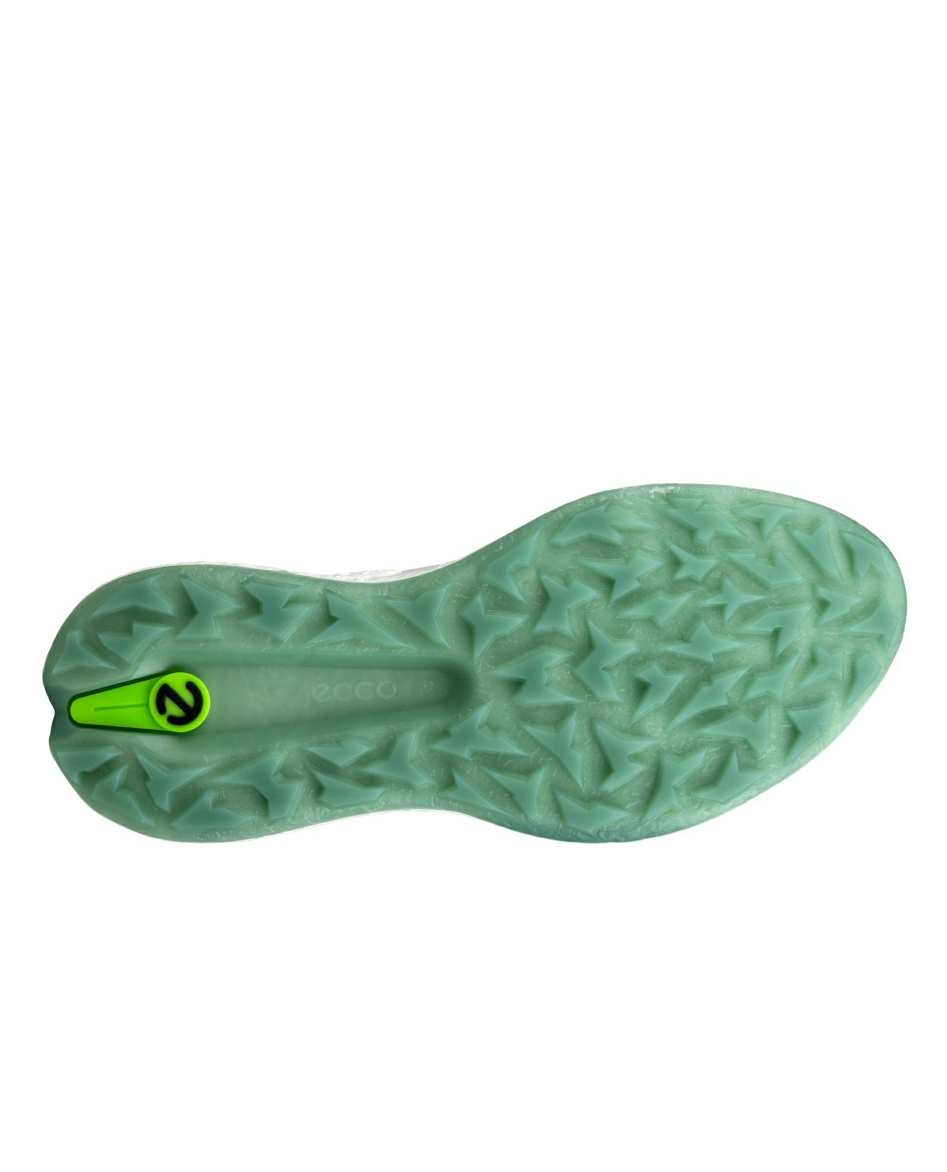 エコーゴルフ日本正規品のシューズ