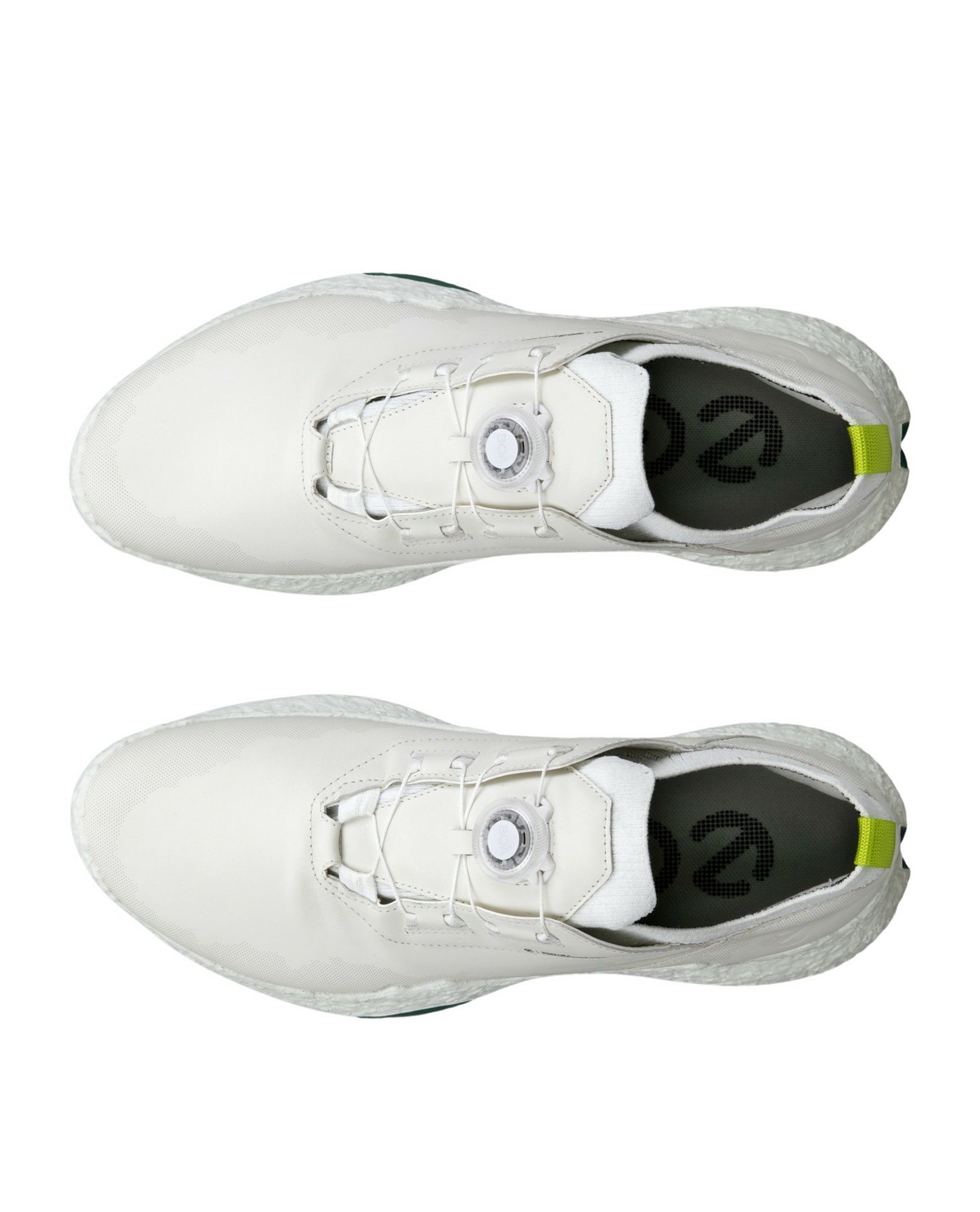 エコーゴルフ日本正規品のシューズ