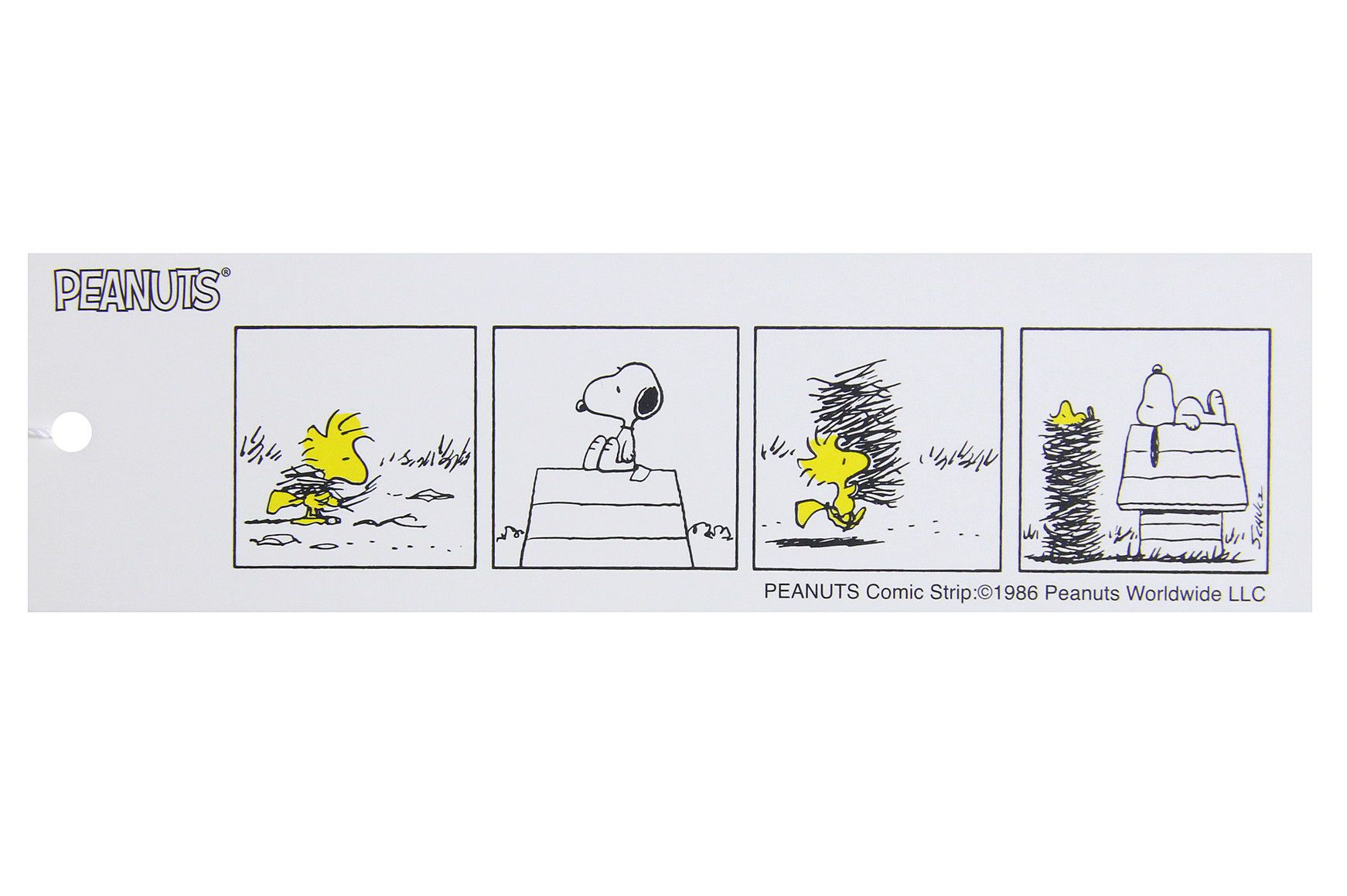 カステルバジャックのポロシャツ