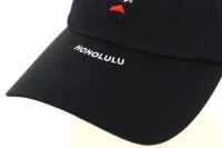 サルベージパブリックコレパのキャップ