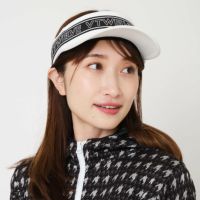V12のサンバイザー