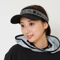 V12のサンバイザー