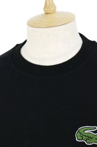 ラコステ日本正規品のTシャツ