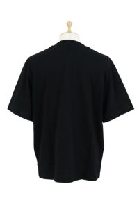 ラコステ日本正規品のTシャツ