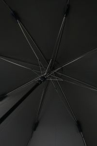 アンパスィの傘