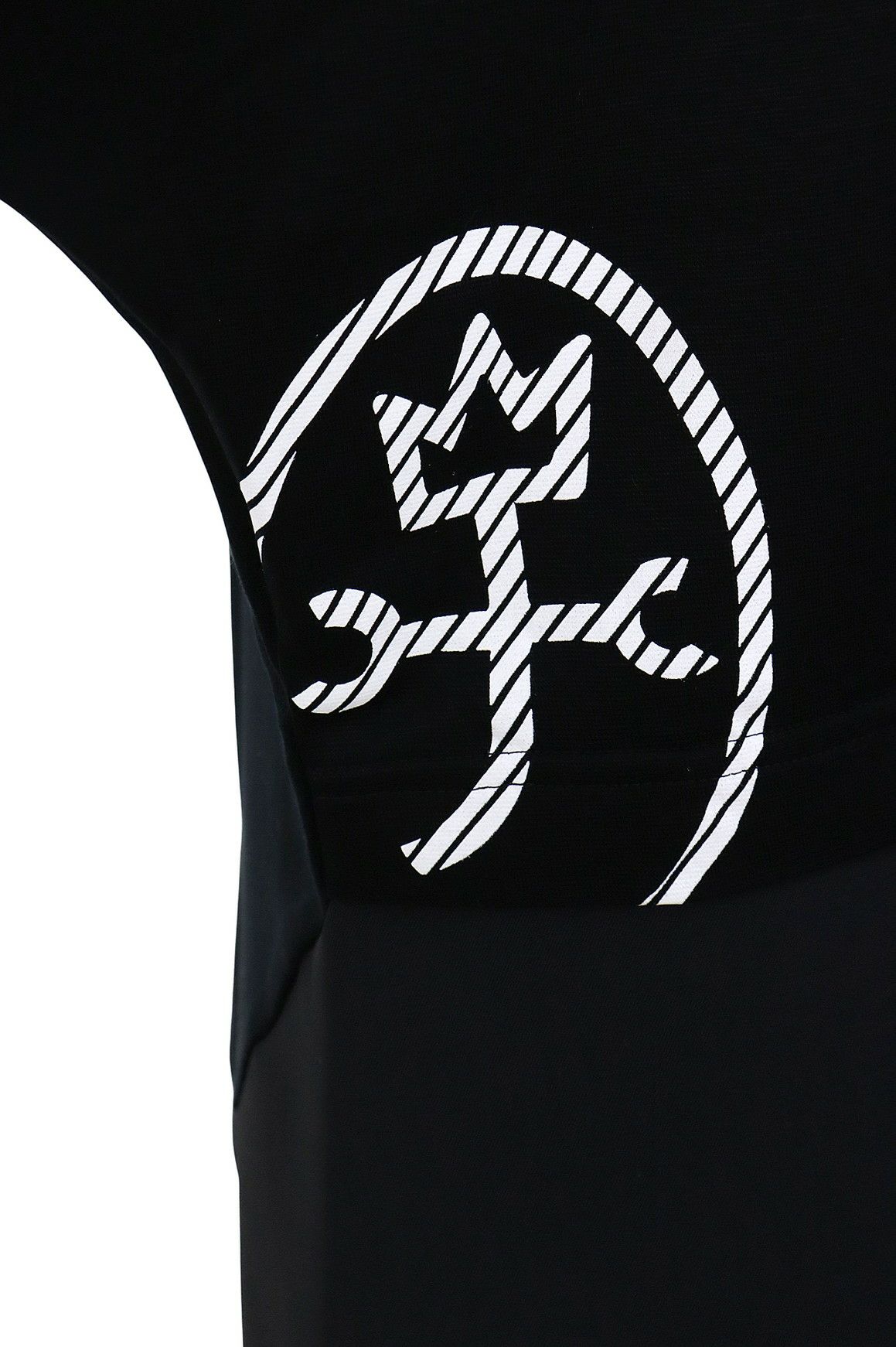 カステルバジャックのTシャツ