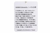 ロサーセンのハイネックシャツ