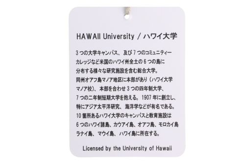 ロサーセンのカートバッグ