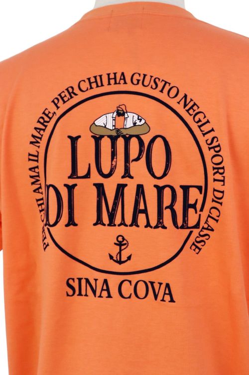 シナコバのTシャツ