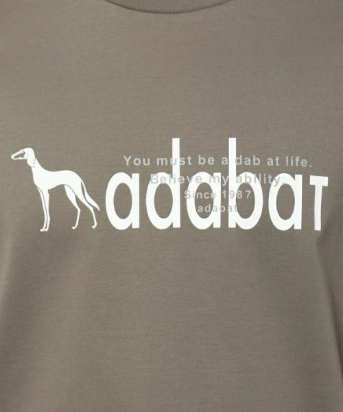 アダバットのＴシャツ