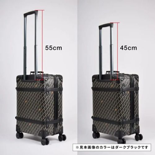 キャリーケース メンズ レディース レザレクション Resurrection