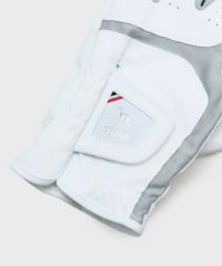 アダバットのグローブ