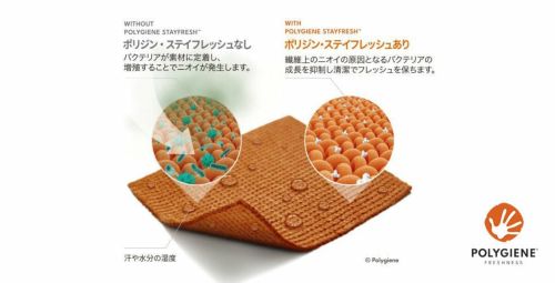 ゼロフィットのハイネックシャツ